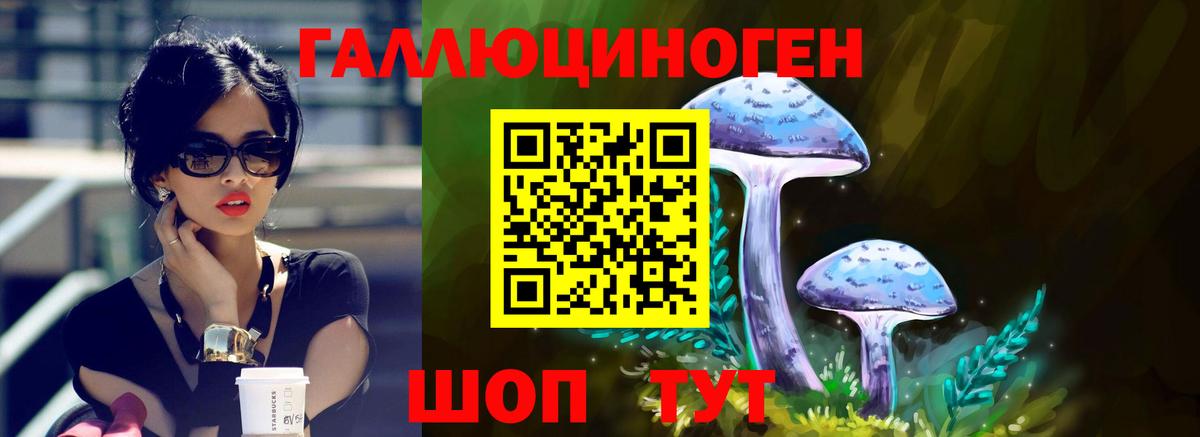 Псилоцибиновые грибы Psilocybe Волжск